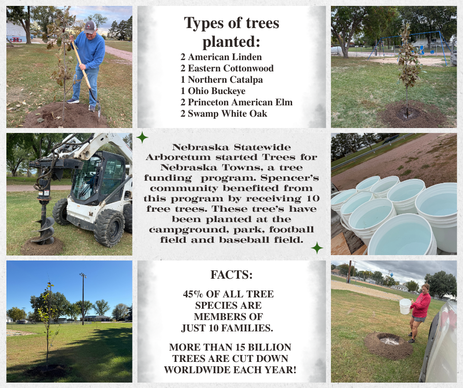 Tree Planting